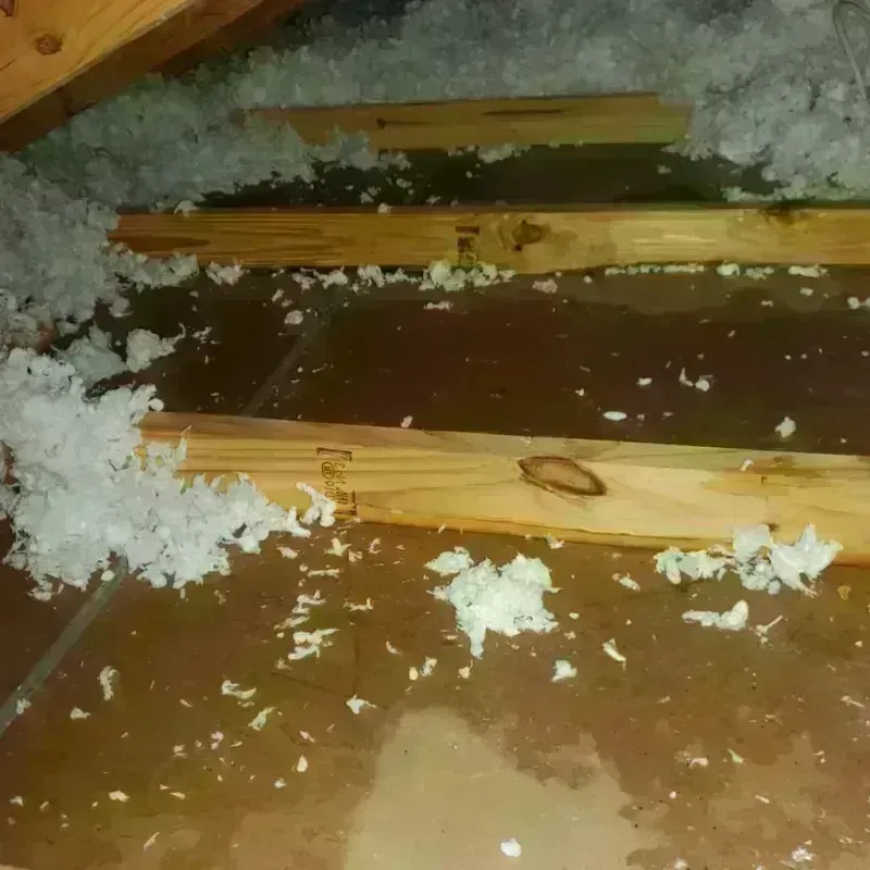 Attic Water Damage in Mercer County, MO