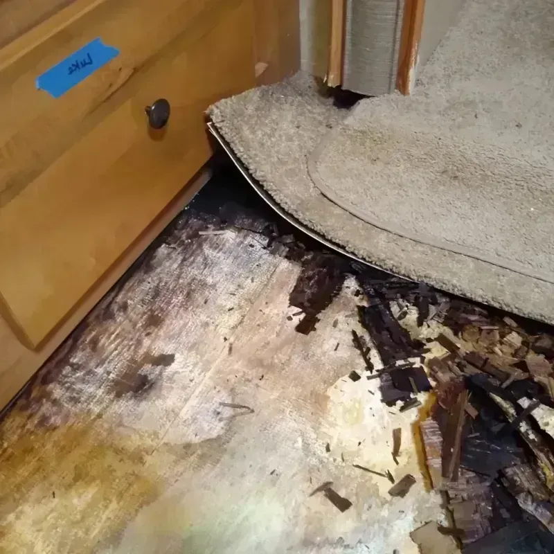 Best Wood Floor Water Damage Service in Mercer County, MO